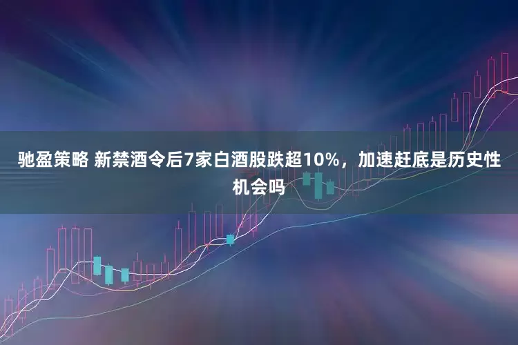 驰盈策略 新禁酒令后7家白酒股跌超10%，加速赶底是历史性机会吗