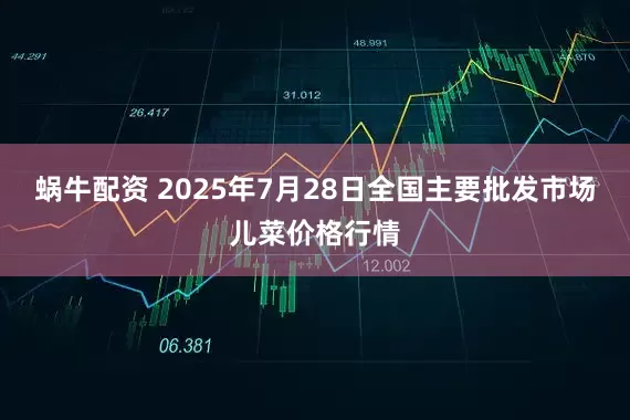 蜗牛配资 2025年7月28日全国主要批发市场儿菜价格行情