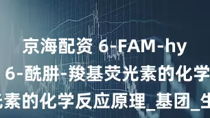 京海配资 6-FAM-hydrazide,6-酰肼-羧基荧光素的化学反应原理_基团_生物_结构