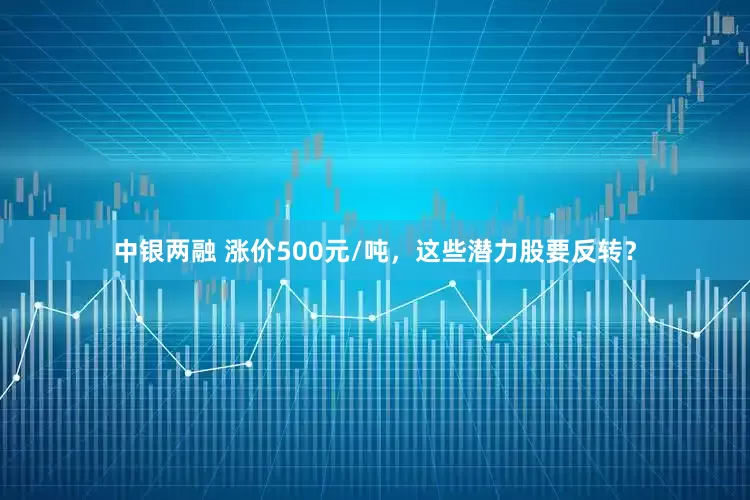 中银两融 涨价500元/吨，这些潜力股要反转？