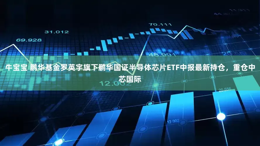 牛宝宝 鹏华基金罗英宇旗下鹏华国证半导体芯片ETF中报最新持仓，重仓中芯国际